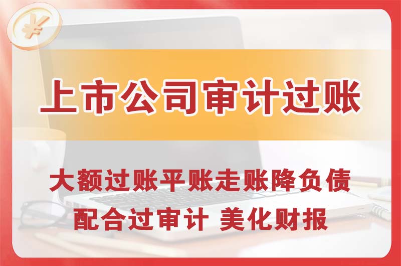 瑞丽上市公司审计过账